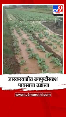 जारकरवाडीत ढगफुटीसदृश पावसाचा तडाखा; उभी पिके, शेती पाण्याखाली-1699376