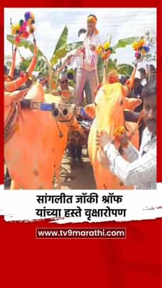 सांगलीत जॉकी श्रॉफ यांच्या हस्ते वृक्षारोपण-1683318