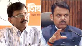 जर तुमच्याकडे इतकं प्रेम असेल तर...; फडणवीसांच्या विधानावर राऊत कडाडले.