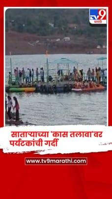 वाढत्या उन्हामुळे साताऱ्याच्या 'कास तलावा'वर पर्यटकांची गर्दी; 'कास बोट क्लब'ला मोठी पसंती-1681694