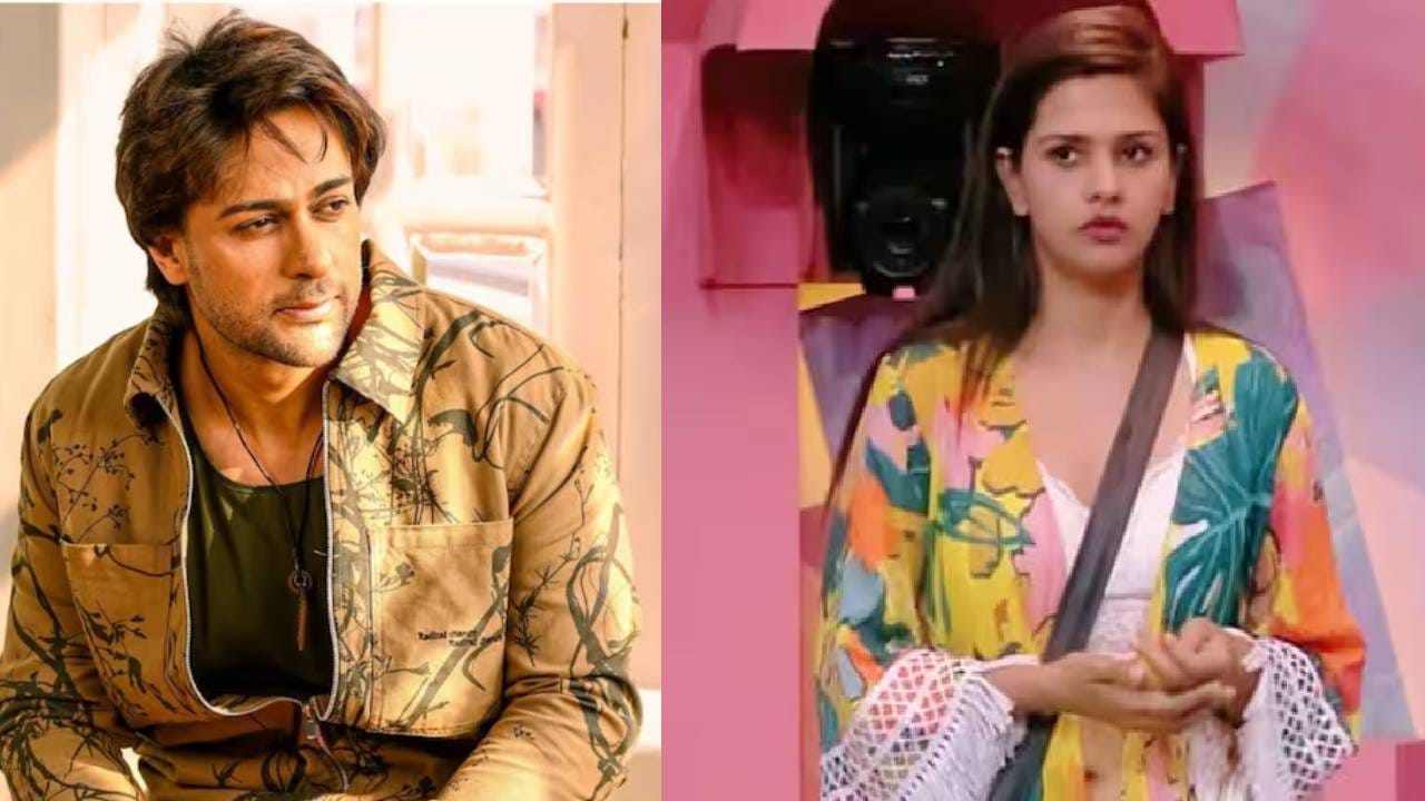 पूर्व पत्नी दलजीत कौरशीच पुन्हा लग्न करणार शालीन? व्हिडीओवर 