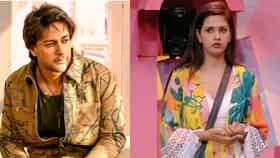 पूर्व पत्नी दलजीत कौरशीच पुन्हा लग्न करणार शालीन? व्हिडीओवर सोडलं मौन.