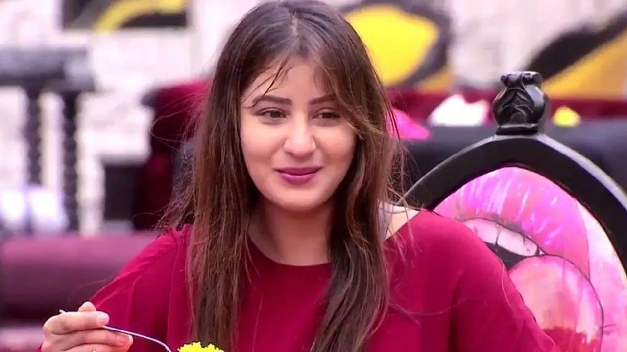 'बिग बॉस 1' जिंकल्यानंतर शिल्पा शिंदेला बक्षीस म्हणून 44 लाख रुपये मिळाले. सलमान खानच्या या शोमध्ये ती आठवड्याला अंदाजे 6 ते 7 लाख रुपये कमवत होती. बिग बॉस व्यतिरिक्त, शिल्पा शिंदे 'खतरों के खिलाडी 14' आणि 'झलक दिखला जा 10' यांसारख्या मोठ्या रिॲलिटी शोमध्येही झळकली होती.