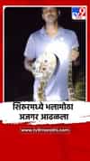 शिरूर तालुक्यातील गुनाट गावात आढळला भलामोठा अजगर