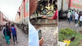 ट्रेनमध्ये आग लागल्याची अफवा, प्रवासी रुळांवर उतरले अन् दुसऱ्या ट्रेनखाली चिरडले..4 जणांचा मृत्यू