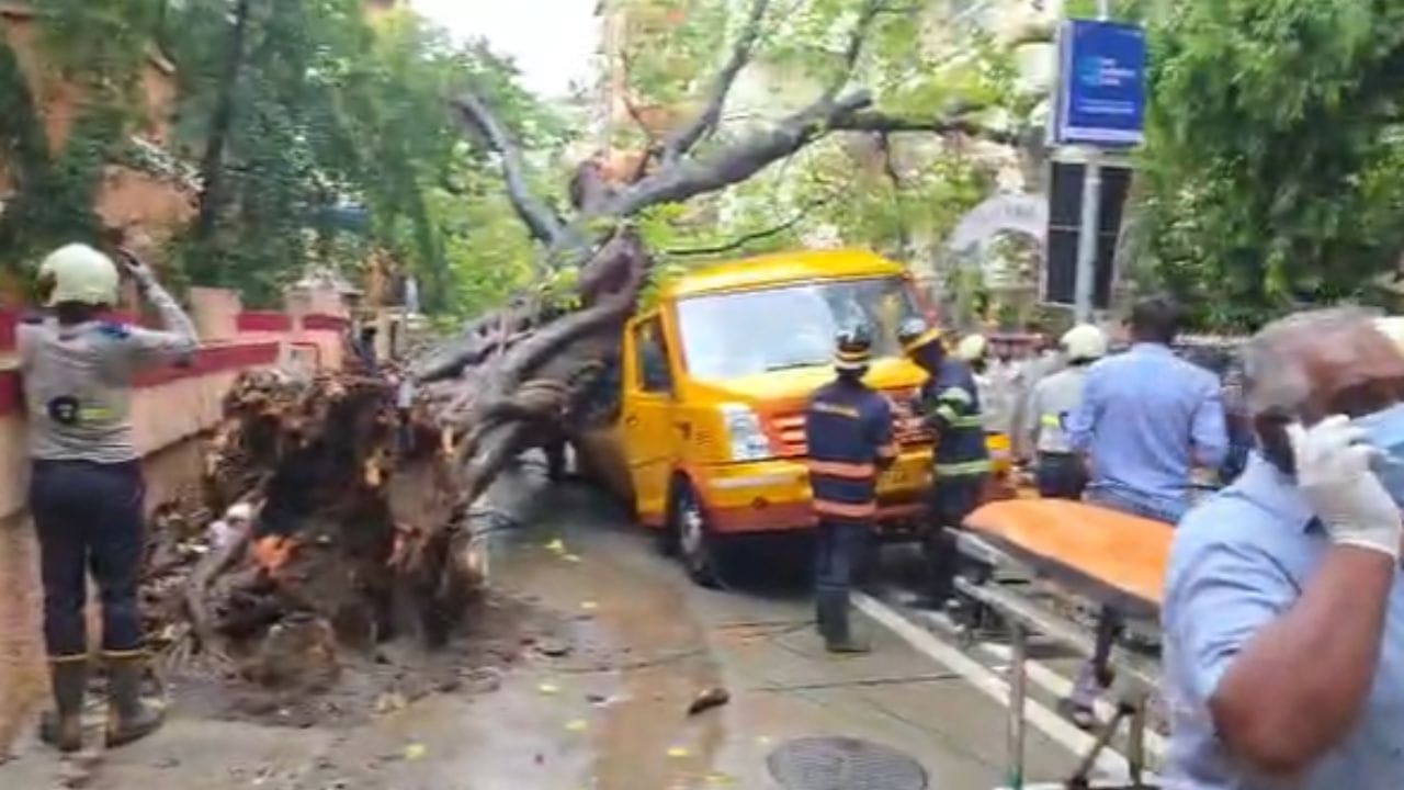 सध्या बसमधील मुलांना बाहेर काढण्यात आले असून त्यांच्यावर नजीकच्या रुग्णालयात उपचार सुरू आहेत. सध्या बसवरी झाड हटवण्याचे काम सुरू आहे. तर एक मुलगा बसमध्ये अडकल्याची माहिती उपमहापौर संजय घाडी यांनी दिली आहे.  