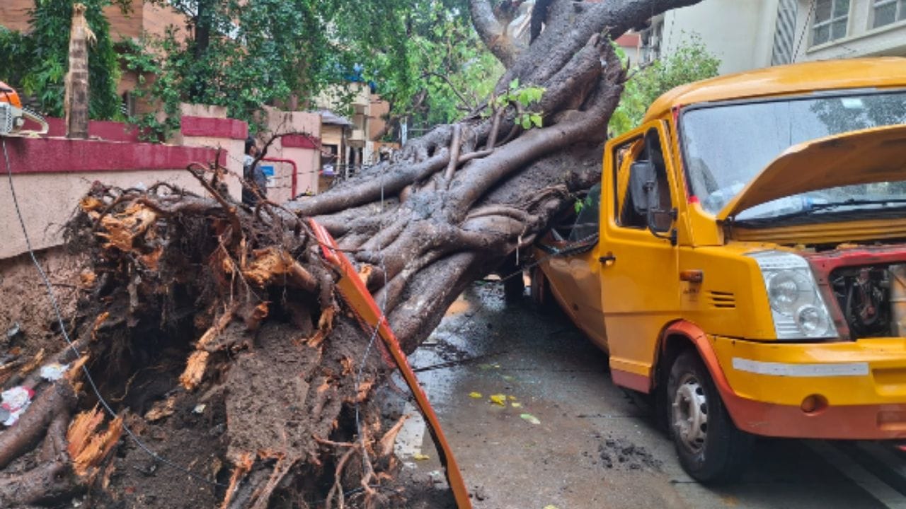 मुंबईतून मोठी बातमी समोर आली आहे, चेंबूरमध्ये मोठा अपघात झाला आहे. शाळेच्या बसवर मोठे झाड कोसळून अनेक मुले जखमी झाली आहेत. 