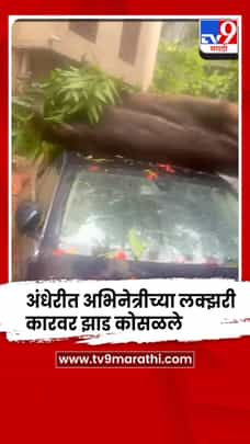 अंधेरी - अभिनेत्री खुशी मुखर्जीच्या लक्झरी कारवर कोसळलं झाड , गाडीचं मोठं नुकसान-1696449