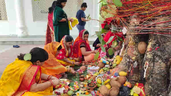 वट पौर्णिमेच्या दिवशी काय करावे आणि करू नये? जाणून घ्या पूजा करण्याआधीचे हे महत्वाचे नियम
