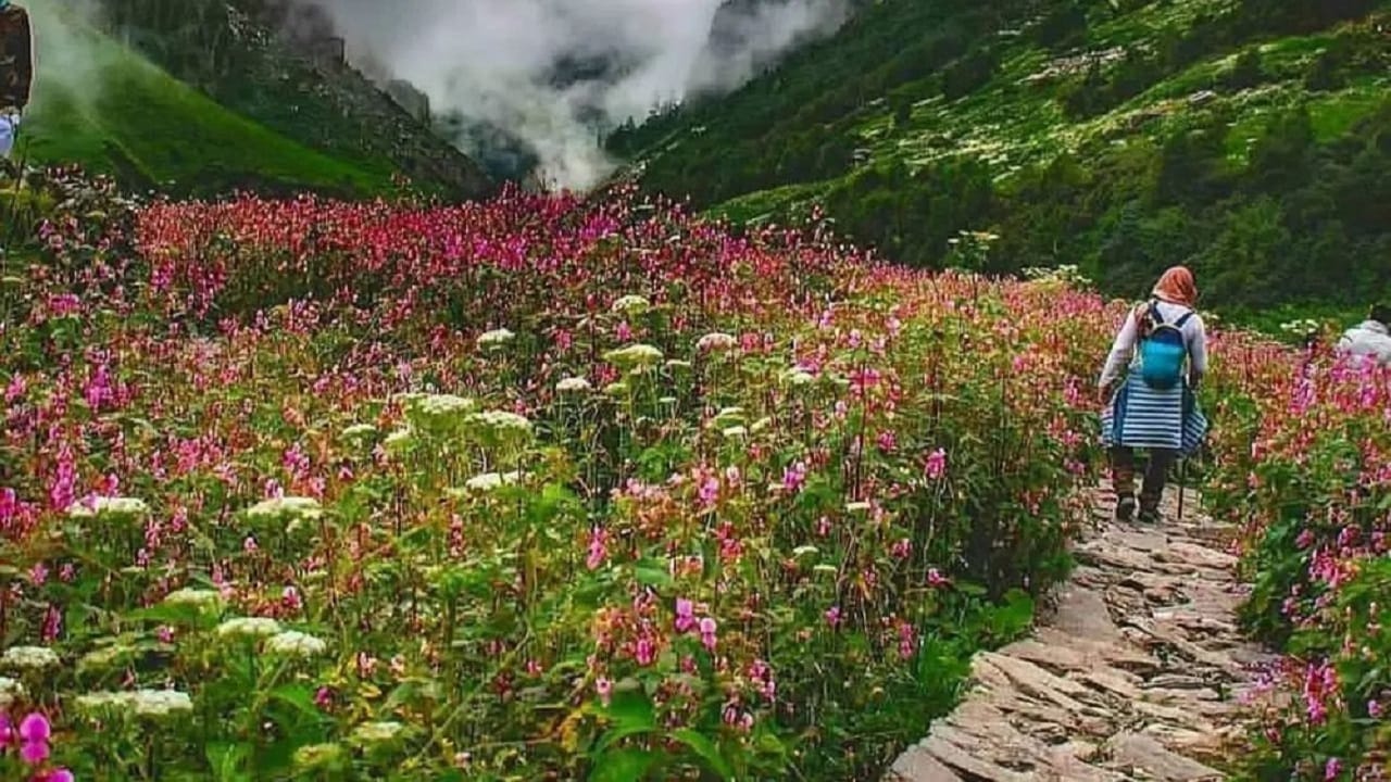 जुलै महिन्यात तुम्ही  व्हॅली ऑफ फ्लॉवर्स या ठिकाणाला भेट देऊ शकता. येथे तुम्हाला अनेक प्रकारची फुले पाहायला मिळतात. येथील दृश्य जुलै आणि ऑगस्ट महिन्यांत सर्वात सुंदर मानलं जातं. ट्रेकिंग आणि निसर्ग फोटोग्राफींच्या शौकिनांसाठी हे ठिकाण स्वर्गापेक्षा कमी नाही.