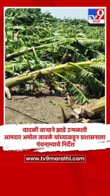 वादळी वाऱ्याने झाडे उन्मळली, आमदार अमोल जावळे यांच्याकडून प्रशासनाला पंचनाम्याचे निर्देश-1685990