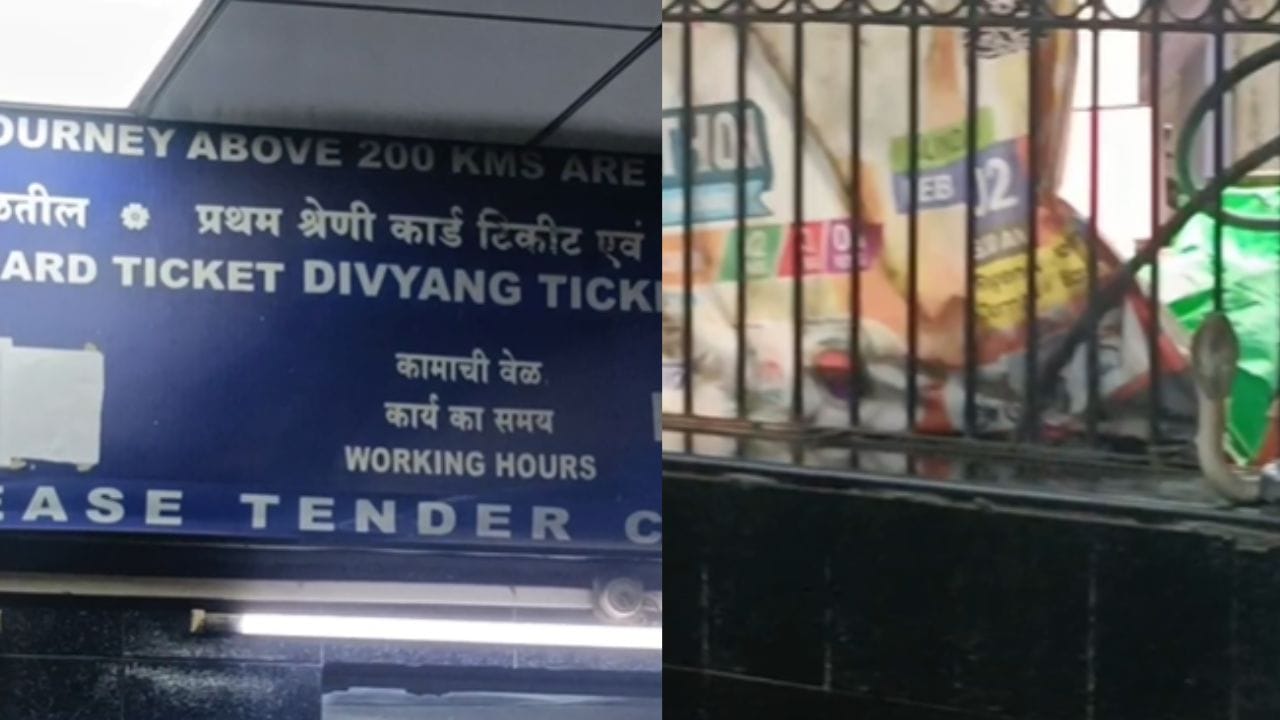 डोंबिवली रेल्वे स्थानकातील तिकीट काउंटरवर भला मोठा नाग आढळल्याने एकच खळबळ उडाली. नाग तिकीट खिडकीजवळ फणा काढून बसल्यामुळे प्रवासी आणि रेल्वे कर्मचाऱ्यांमध्ये भीतीचं वातावरण निर्माण झालं.