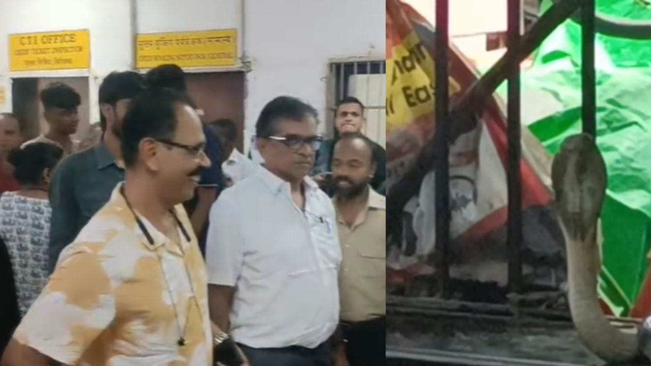 त्यानंतर या घटनेची माहिती सर्पमित्रांना देण्यात आली, घटनेची माहिती मिळताच काही वेळेतच सर्पमित्र घटनास्थळी दाखल झाले, त्यांनी सापांना रेस्क्यू केलं.