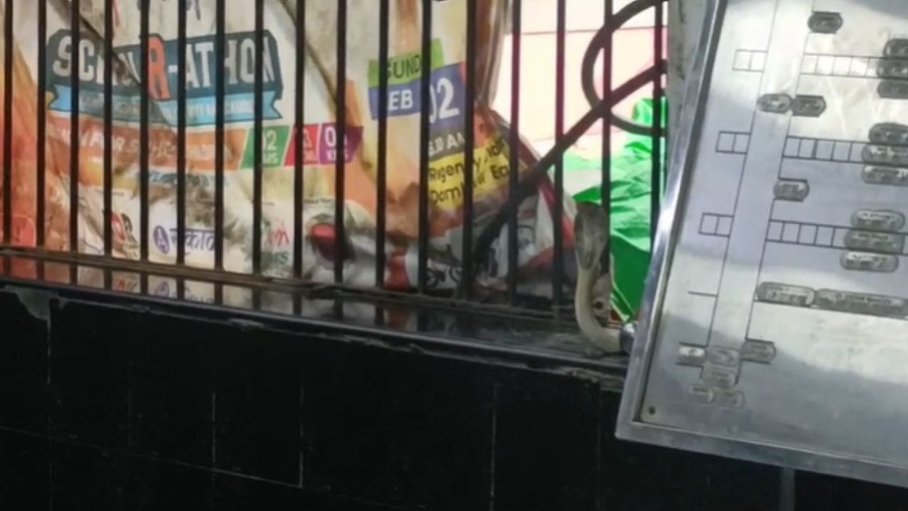 मात्र या घटनेमुळे काही काळ तिकीट वितरणाच्या कामावर परिणाम झाला, लोकांमध्ये चांगलीच दहशत निर्माण झाली होती.