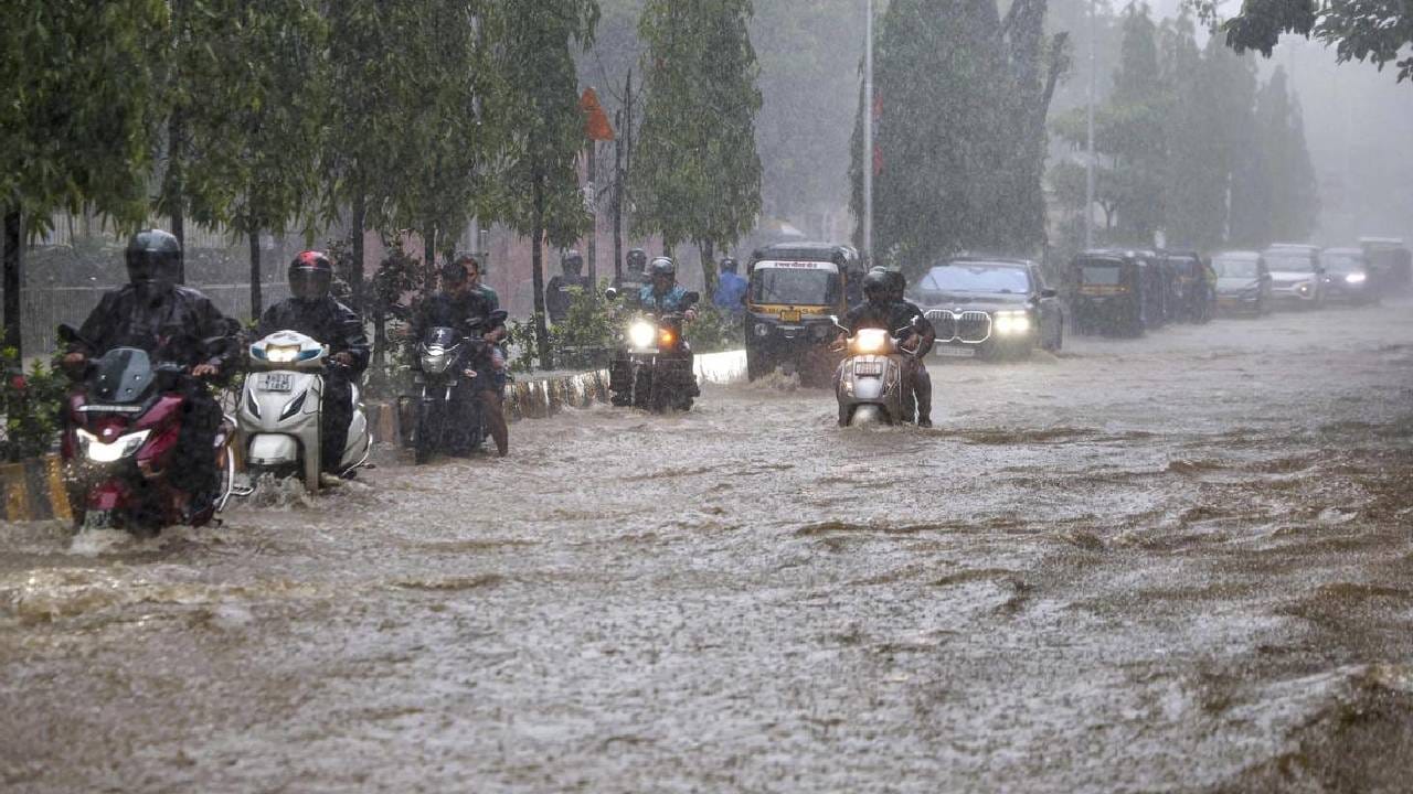 Rain Alert : मुसळधार पावसाने वाढवली धास्ती; राज्यात 13 जणांचा मृत्यू, मुंबईतील उद्यानं आज राहणार बंद Rain Alert : मुसळधार पावसाने वाढवली धास्ती; राज्यात 13 जणांचा मृत्यू, मुंबईतील उद्यानं आज राहणार बंद