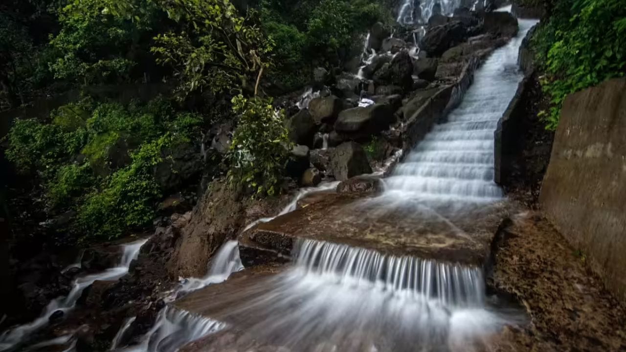 आंबोली घाट हे महाराष्ट्रातील सर्वाधिक पाऊस पडणारे ठिकाण आहे. येथील जंगलाची समृद्धता थक्क करायला लावते.