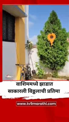 वाशिममध्ये झाडात साकारली विठ्ठलाची प्रतिमा-1719461