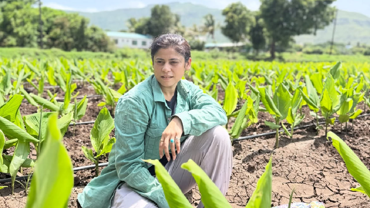 अश्विनीच्या या पोस्टला सोशल मीडियावर मोठा प्रतिसाद मिळत आहे. चाहत्यांनी तिच्या फोटोंवर लाईक्स आणि कमेंट्सचा वर्षाव केला असून, तिच्या साधेपणाचे आणि शेतीशी असलेल्या नात्याचे भरभरून कौतुक केले आहे. 