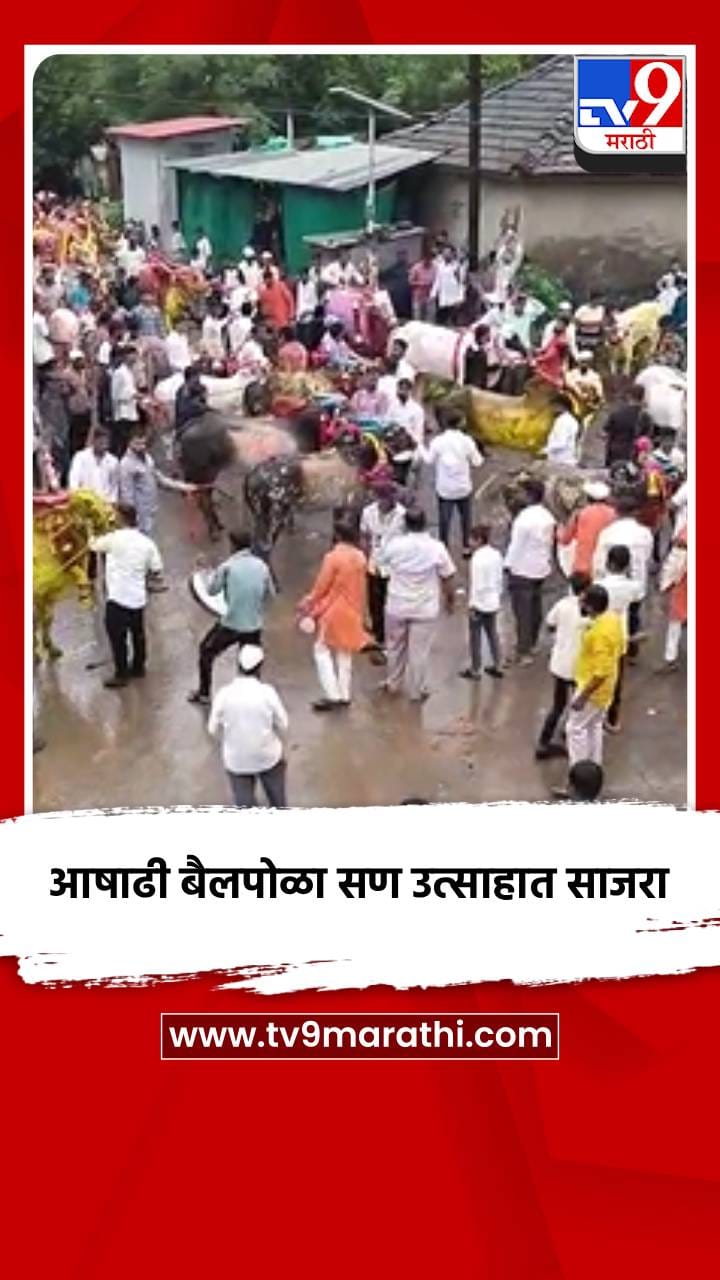 आषाढी बैलपोळा सण उत्साहात साजरा-1721661