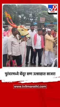 पुरंदरमध्ये बेंदूर सण उत्साहात साजरा-1721473