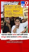 भंडाऱ्यात कॉक्रोच जनता पार्टी आणि सोनम वांगचुक यांच्या समर्थनार्थ नागरिक रस्त्यावर