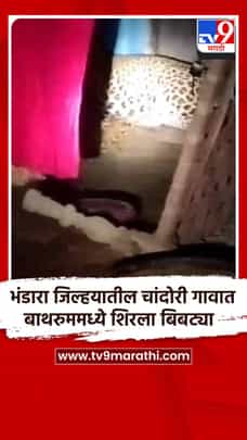 भंडारा जिल्हयातील चांदोरी गावात बाथरुममध्ये शिरला बिबट्या-1718747