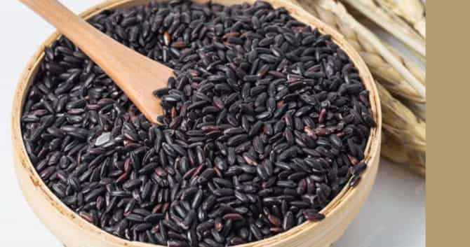 तुम्हाला काळा गहू माहीत आहे का? काय आहेत खास वैशिष्ट्ये? जाणून घ्या