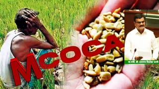 Bogus Seeds: बोगस बियाणे विक्रेत्यांवर मकोका लावणार? त्यापूर्वीच सरकारचा दणदणीत आदेश… या कायद्यानुसार थेट कारवाई… कृषिमंत्री विधानसभेत गरजले