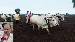 शेतकऱ्यांना कंपन्यांनी फसवलं! पेरणी करूनही काहीच नाही उगवलं…अकोल्यात दुबार पेरणीचं मोठं संकट… मायबाप सरकार कारवाई करणार का?