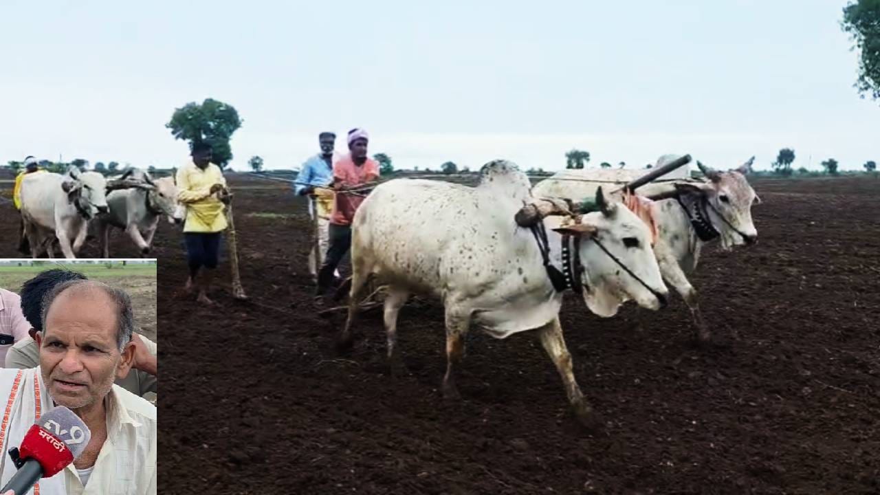 शेतकऱ्यांना कंपन्यांनी फसवलं! पेरणी करूनही काहीच नाही उगवलं...अकोल्यात दुबार पेरणीचं मोठं संकट... मायबाप सरकार कारवाई करणार का? शेतकऱ्यांना कंपन्यांनी फसवलं! पेरणी करूनही काहीच नाही उगवलं...अकोल्यात दुबार पेरणीचं मोठं संकट... मायबाप सरकार कारवाई करणार का?