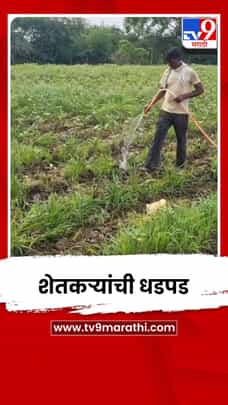 चंद्रपूर जिल्ह्यात आठवड्याभरापासून पावसाचा खंड, कोवळ्या पिकांसाठी शेतकऱ्यांची धडपड-1711287