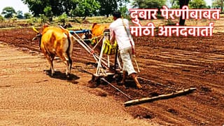 मोठी आनंदवार्ता! दुबार पेरणीचा खर्च सरकार देणार? चंद्रशेखर बावनकुळे यांची मोठी घोषणा, कसा मिळणार निधी, कसा फायदा होणार?