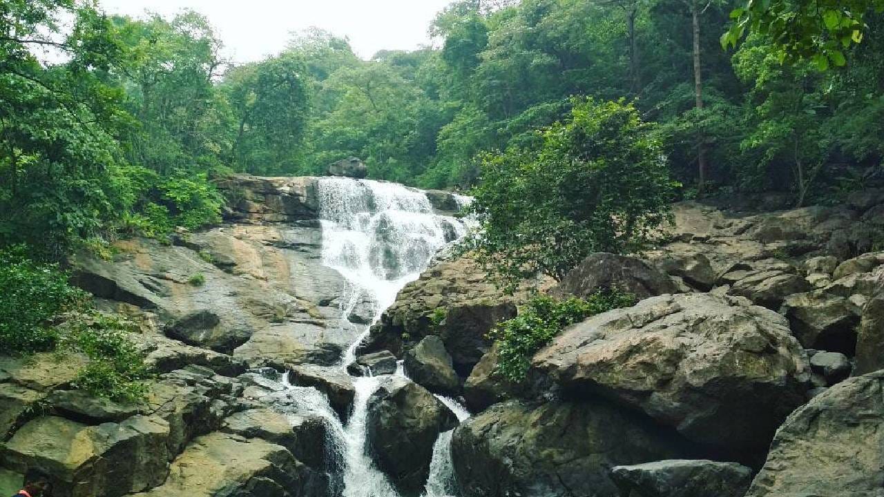 वसई, नायगाव, वालीव, अर्नाळा, विरार, पेल्हार, मांडवी, बोळींज आणि नालासोपारा पोलीस ठाण्यांच्या अंतर्गत येणाऱ्या पर्यटन स्थळांवरही मनाई आदेश लागू केला आहे. जो कोणी या नियमांचं उल्लंघन करणार, त्याच्याविरोधात कठोर कायदेशीर कारवाईचा इशारा देण्यात आला आहे. वसईमधील सुरूची, रानगाव, भुईगाव, बेनापट्टी, ब्राह्मण पाडा हे समुद्र किनारे, तसंच देवकुंडी, चिंचोटी धबधबा आणि राजावळी खदाण या ठिकाणीही जाण्यास बंदी आहे.