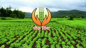 पीकविमा मिळण्याचा मार्ग मोकळा; शेतकर्‍यांनी जिंकली कायदेशीर लढाई.