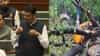 Devendra Fadnavis :  मुंबईत दरवर्षी पावसात सरासरी 800 झाडं कोसळतात, पण काल एकाच दिवसात..मुख्यमंत्र्यांनी दिलेली आकडेवारी धक्कादायक