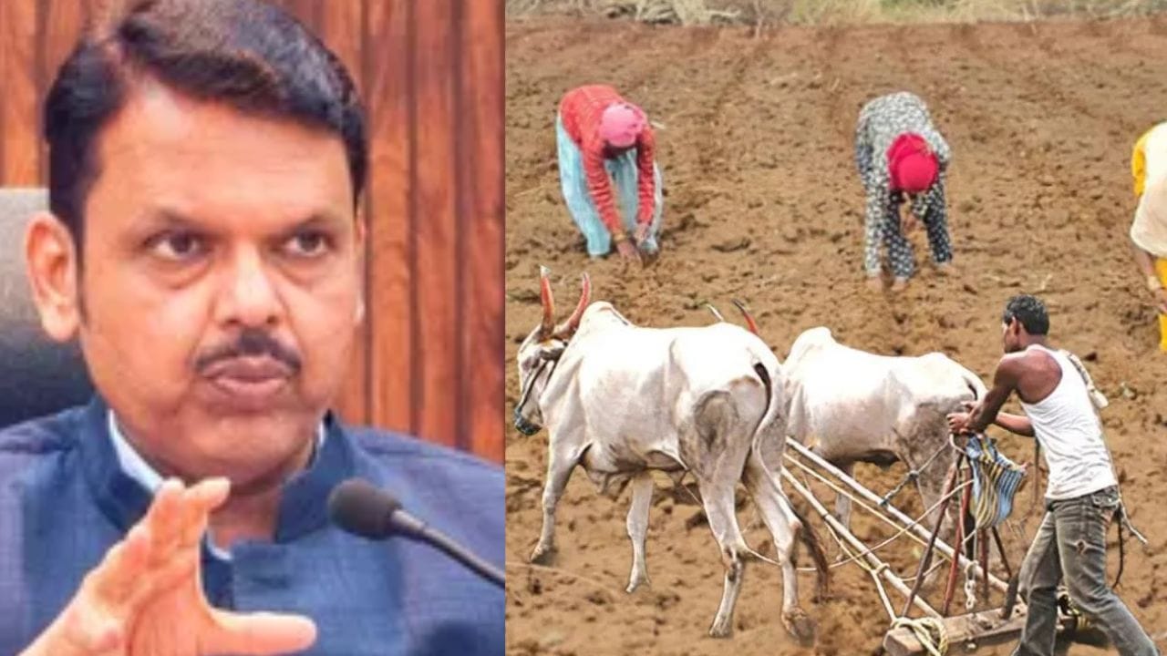 मोठी बातमी! महाराष्ट्र कृषी दिनीच फडणवीसांची शेतकऱ्यांना गुड न्यूज, सर्वात मोठी घोषणा, आता तो ताण कायमचा मिटणार मोठी बातमी! महाराष्ट्र कृषी दिनीच फडणवीसांची शेतकऱ्यांना गुड न्यूज, सर्वात मोठी घोषणा, आता तो ताण कायमचा मिटणार