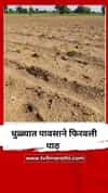 धुळ्यात पावसाने फिरवली पाठ; शेतकर्‍यांची पिके धोक्यात