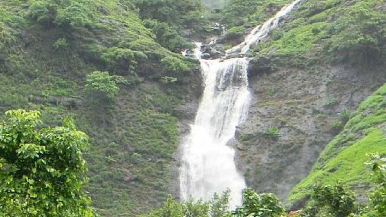हिरवाईने वेढलेला परिसर, धुक्याची चादर आणि कोसळणारे पाणी पर्यटकांना वेगळाच अनुभव देतात. यामध्ये पांडवकडा धबधबा हा पर्यटकांच्या विशेष पसंतीचा आहे. 