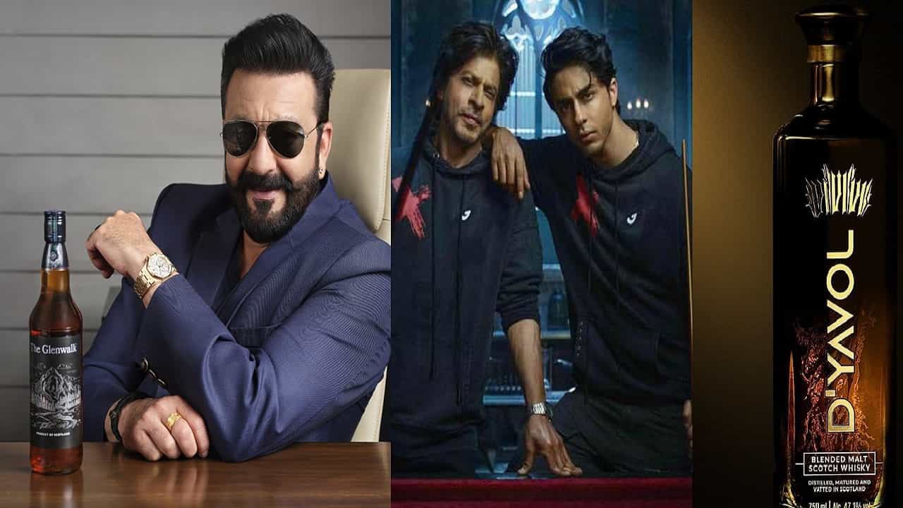 बॉलिवूडचा किंग खान म्हणजे अभिनेता शाहरुख खान याचा मुलगा आर्यन खान याचा देखील दारुचा व्यवसाय आहे. आर्यन खान याने स्वतःचा वोडका ब्रँड भारतात लॉन्च केला आहे. त्यांच्या ब्रँडचं नाव D'YAVOL असं आहे.