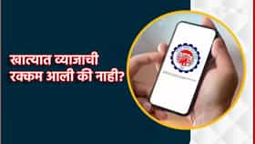 EPFO ने जमा केले 8.25% व्याज,खात्यात पैसा आला की नाही?.