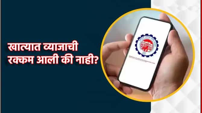 EPFO ने जमा केले 8.25% व्याज, खात्यात पैसा आला की नाही? बॅलेन्स कसे तपासणार?