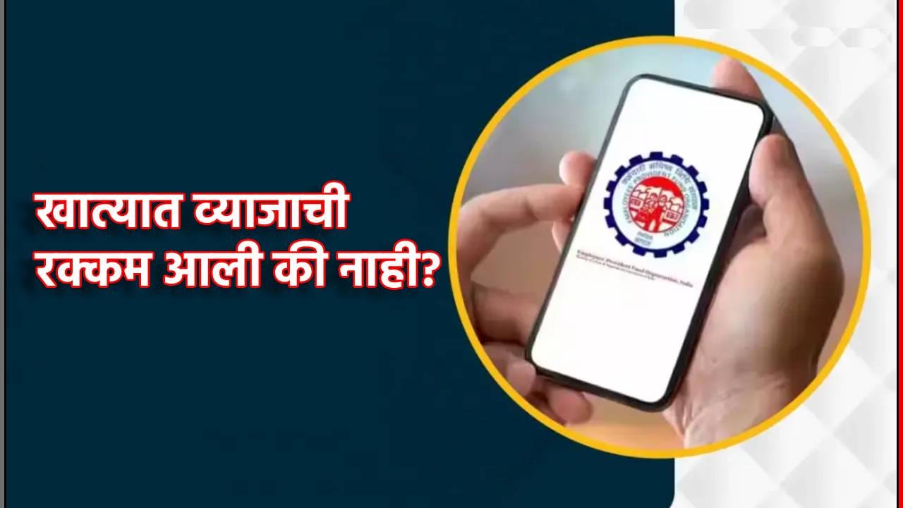 EPFO ने जमा केले 8.25% व्याज, खात्यात पैसा आला की नाही? बॅलेन्स कसे तपासणार? EPFO ने जमा केले 8.25% व्याज, खात्यात पैसा आला की नाही? बॅलेन्स कसे तपासणार?