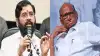 शरद पवारांचे खासदार शिवसेनेत येणार? एकनाथ शिंदे यांचं थेटच उत्तर, म्हणाले, मी संपर्क साधलेला...