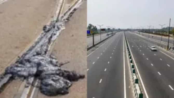 Europe Heatwave: फ्रान्समध्ये 40 डिग्री तापमानात रस्ते वितळले, भारतात असं का होत नाही? जाणून घ्या