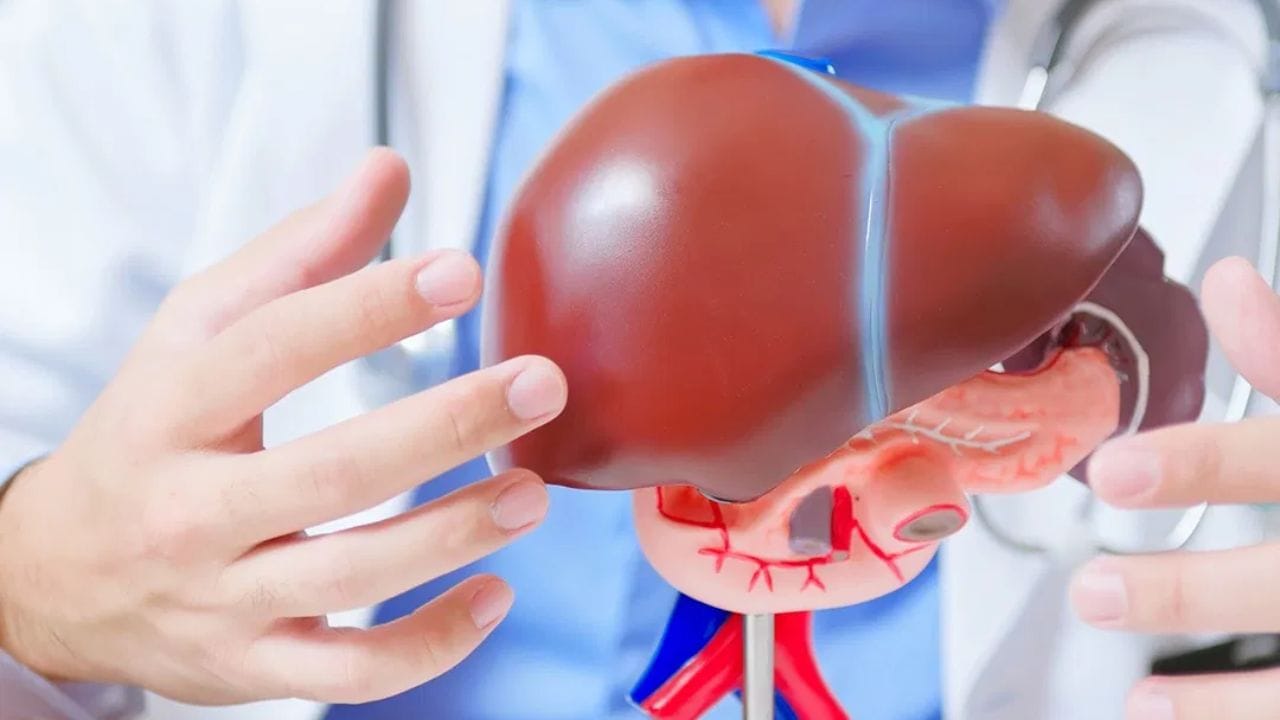 फॅटी लिव्हर - या हेल्थ प्रॉब्लेमवाल्यांना देखील आंबा लिमिटमध्ये खायला पाहिजे आणि त्यास बँलस्ड डाएटच्या हिस्सा बनवले पाहिजेत. ज्या लोकांना एडव्हान्स किडनी डिसिज आहे. त्यांनी रोज आंबे खाण्याच्या आधी डॉक्टरांचा सल्ला जरुर घ्यायला हवा. कारण अनेकदा पोटॅशियमची मर्यादित ठेवावी लागते.