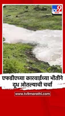 FDA कारवाईच्या भीतीने दूध ओतल्याची चर्चा-1708409