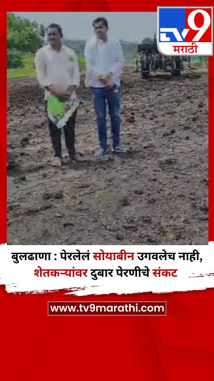 बुलढाणा : पेरलेलं सोयाबीन उगवलेच नाही, शेतकऱ्यांवर दुबार पेरणीचे संकट-1708751