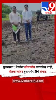 बुलढाणा : पेरलेलं सोयाबीन उगवलेच नाही, शेतकऱ्यांवर दुबार पेरणीचे संकट-1708751