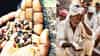 Bogus Seeds: बोगस बियाणं ओळखावं कसं? कुठं करावी तक्रार, एका क्लिकवर सर्व जाणून घ्या