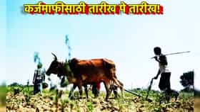 कर्जमाफीसाठी तारीख पे तारीख!आता इन्कम टॅक्सचा खोडा.